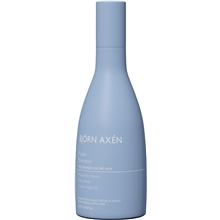 Repair Shampoo