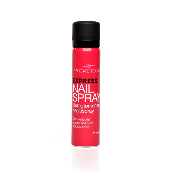 Delicate Touch Express Nail Spray Quick Dry