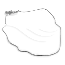 Snake Necklace - Silver Chain Short
