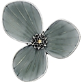 Star Flower Ring