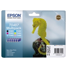  Epson Ink 6colours StylusPho R200 C13T04874010
