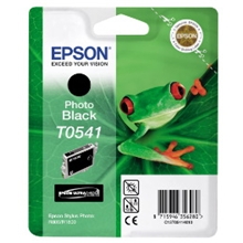  Epson Ink Photo T0541 Black C13T05414010