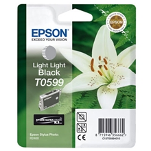  Epson Ink T0599 Light Light Black C13T05994010
