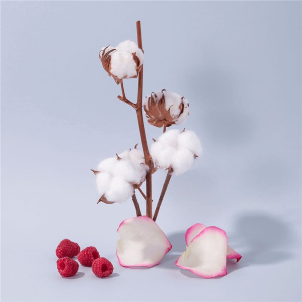 Hand & Body Lotion Cotton Flower (Bild 2 von 3)