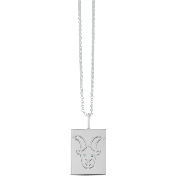 Zodiac by Design Letters - Capricorn (Bild 1 von 3)