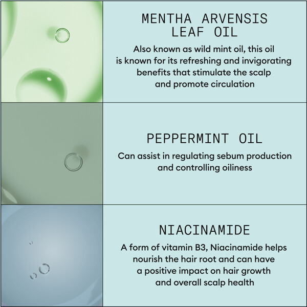 Scalp Recovery System (Bild 5 von 9)