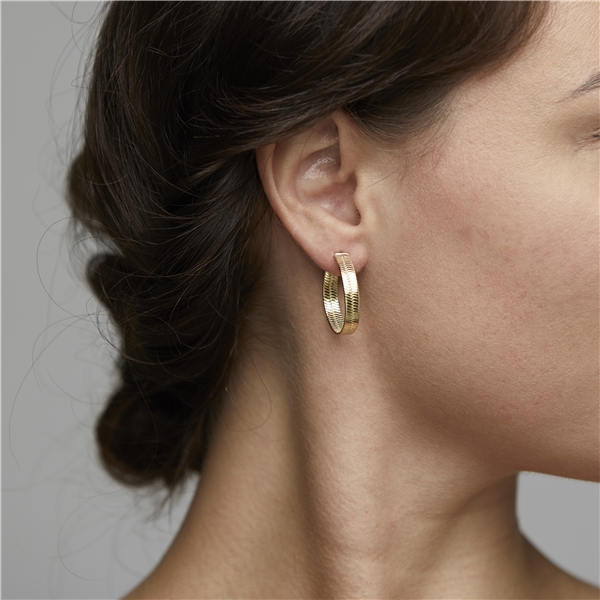 Noreen Earrings Gold Plated (Bild 2 von 2)