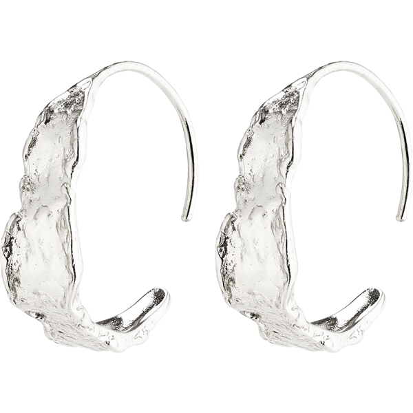 10211-6003 Compass Silver Plated Earrings (Bild 1 von 2)