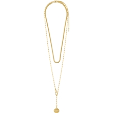 13213-2021 Native Beauty Necklace