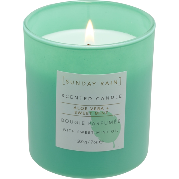 Sunday Rain Aloe & Sweet Mint Candle (Bild 1 von 5)
