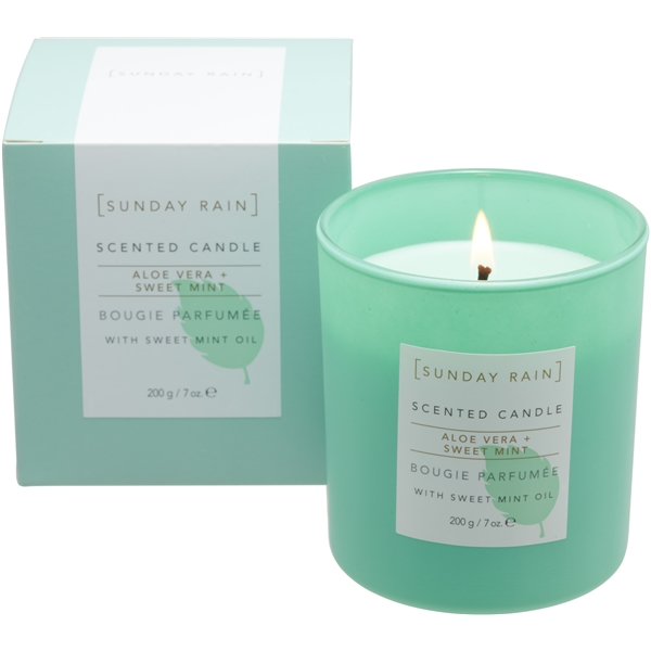 Sunday Rain Aloe & Sweet Mint Candle (Bild 2 von 5)