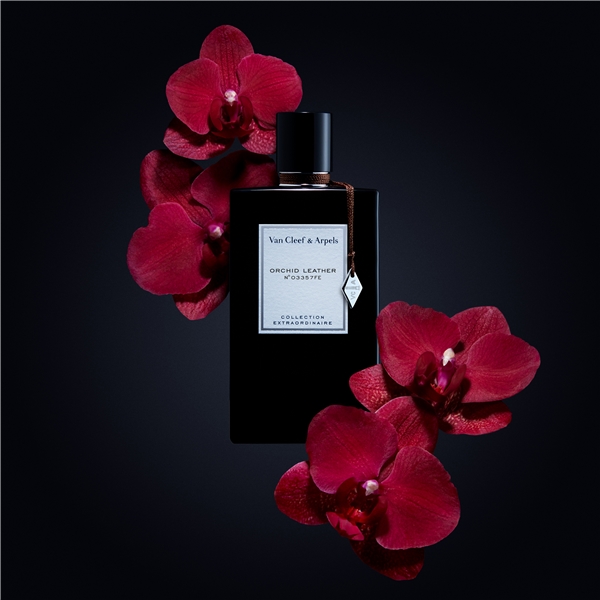 Orchid Leather - Eau de parfum (Bild 3 von 3)