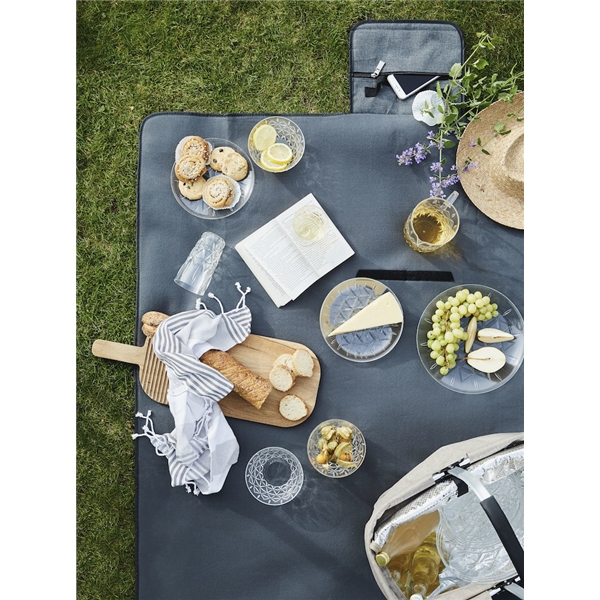 Picknick-Teller 21 cm, 4er-Pack (Bild 3 von 3)