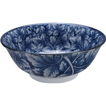 Gemischte Schalen Ramen 21x8cm