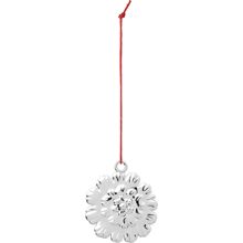 Rosendahl Kugelblume