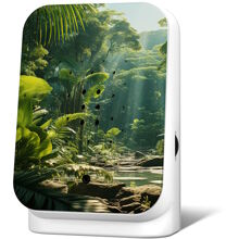 Junglebox Spieluhr Maliau