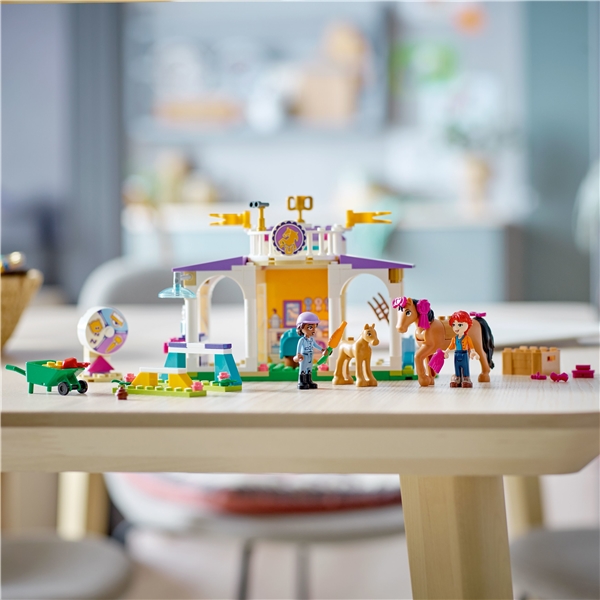41746 LEGO Friends Pferdetraining (Bild 6 von 6)