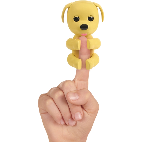Fingerlings X Adopt Me Hund (Bild 3 von 4)