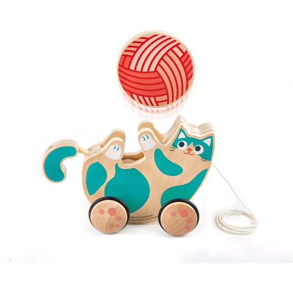 Hape Roll & Rattle Kätzchen (Bild 3 von 5)