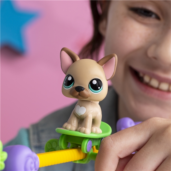 Littlest Pet Shop Haustiere haben Talent Spielset (Bild 3 von 5)