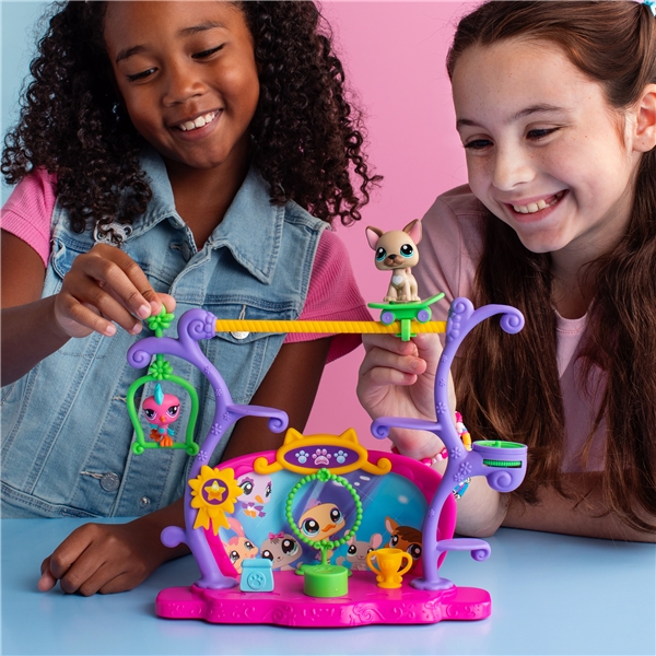 Littlest Pet Shop Haustiere haben Talent Spielset (Bild 5 von 5)