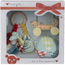 Micki Present-Set Bloom