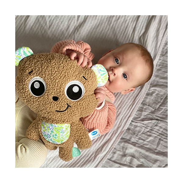 Playgro Flacher Kuschelbär (Bild 2 von 3)