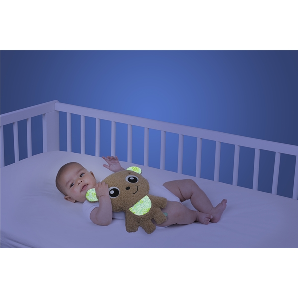 Playgro Flacher Kuschelbär (Bild 3 von 3)