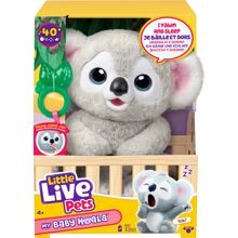 Little Live Pets Mein Baby Koala