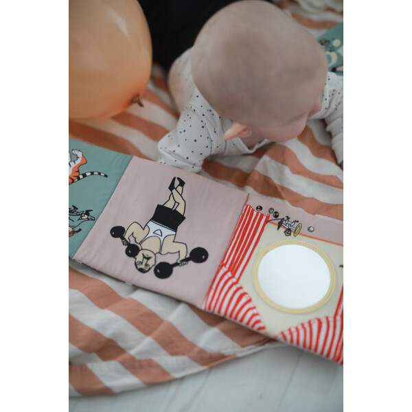 Pippi Zirkus Prasselbuch (Bild 4 von 6)