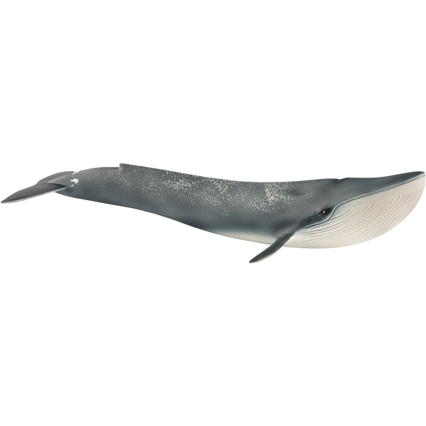 Schleich 14806 Blauwalfisch