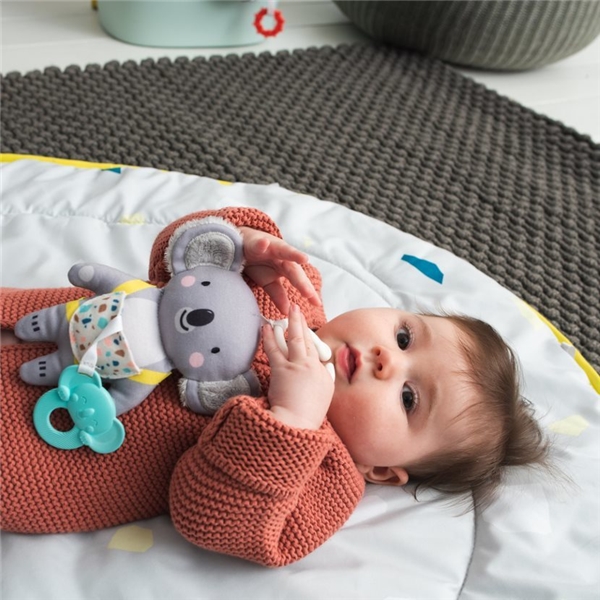 Taf Toys Kimmy der Koala (Bild 3 von 3)