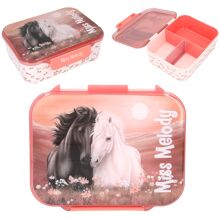 Miss Melody Lunchbox  BLOSSOM PONY
